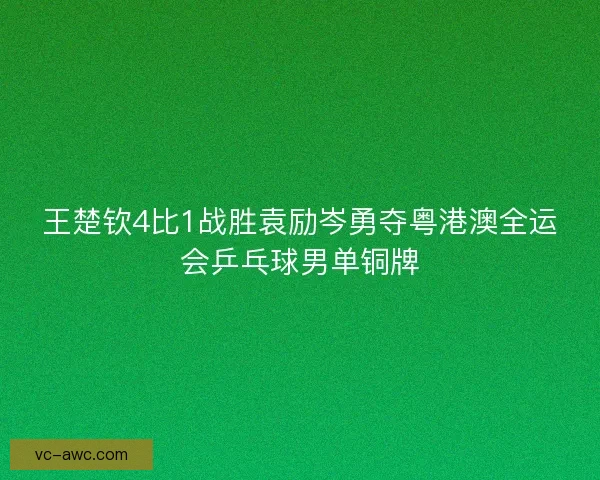 王楚钦4比1战胜袁励岑勇夺粤港澳全运会乒乓球男单铜牌